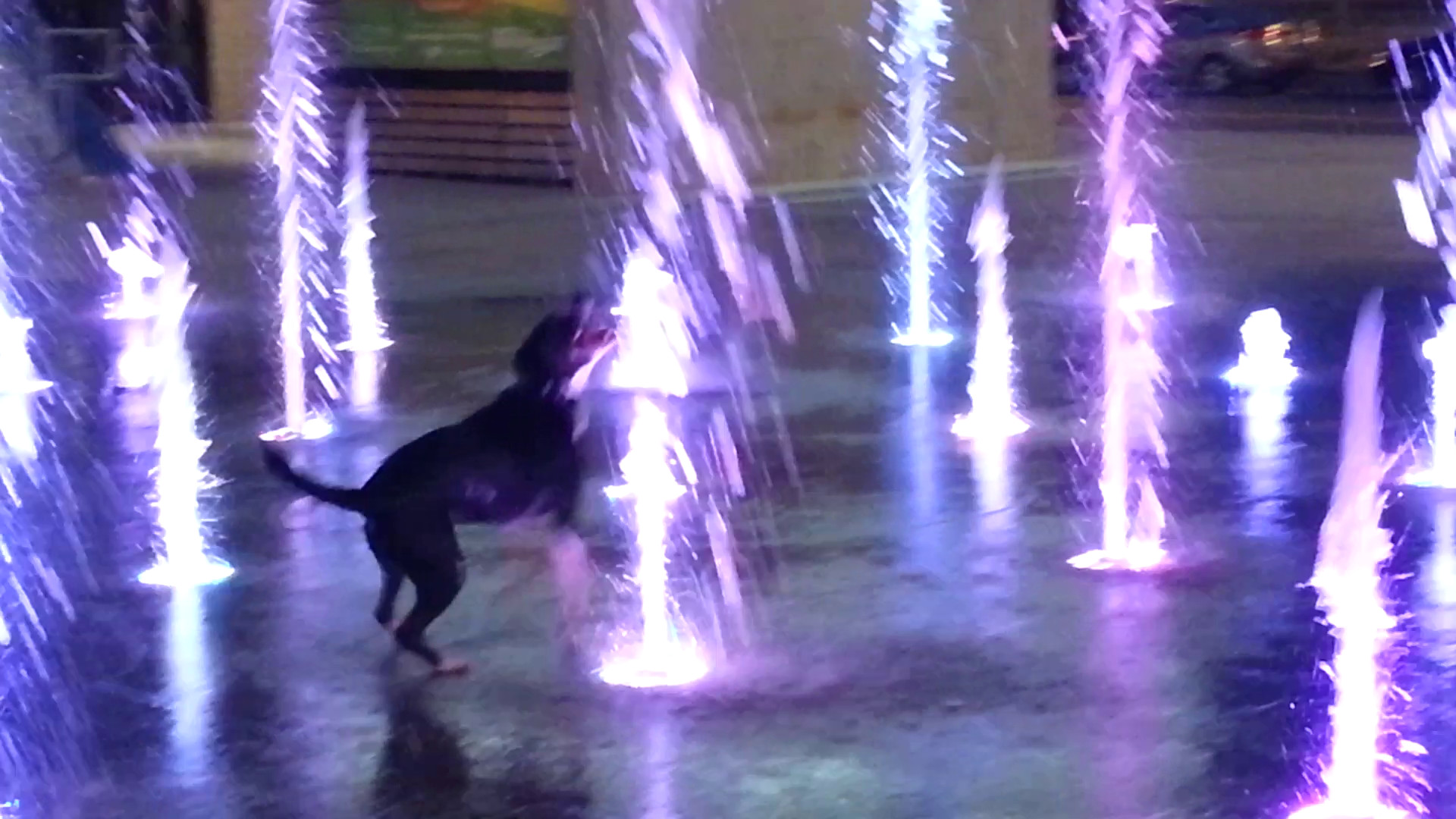 Lewis in the Fountain